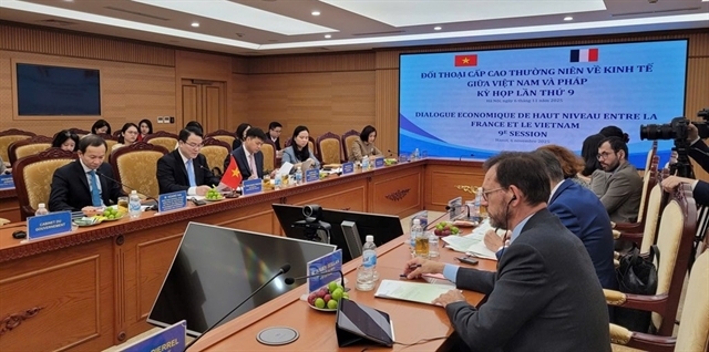 french investment to vietnam to be promoted across many fields picture 1