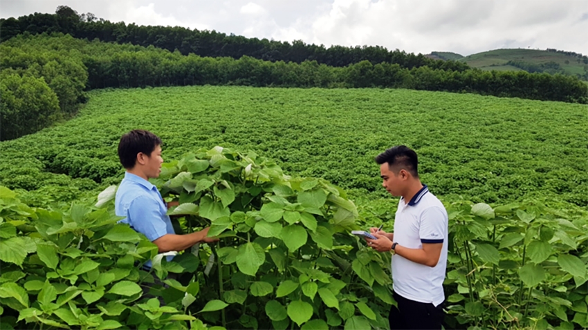 thay doi tu duy san xuat de nong dan vuon len lam giau hinh anh 1