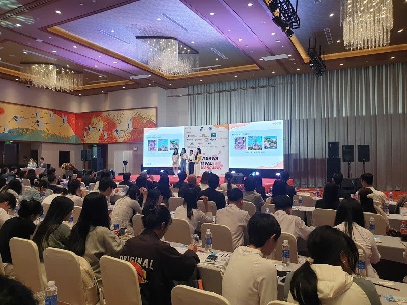 da nang hosts fourth consecutive kanagawa festival picture 1