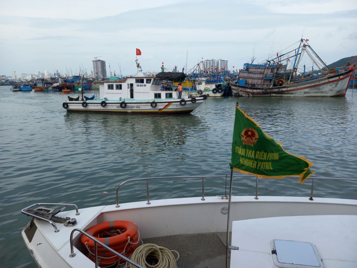 Khánh Hòa đưa hơn 3.400 tàu thuyền vào bờ an toàn trước bão số 15