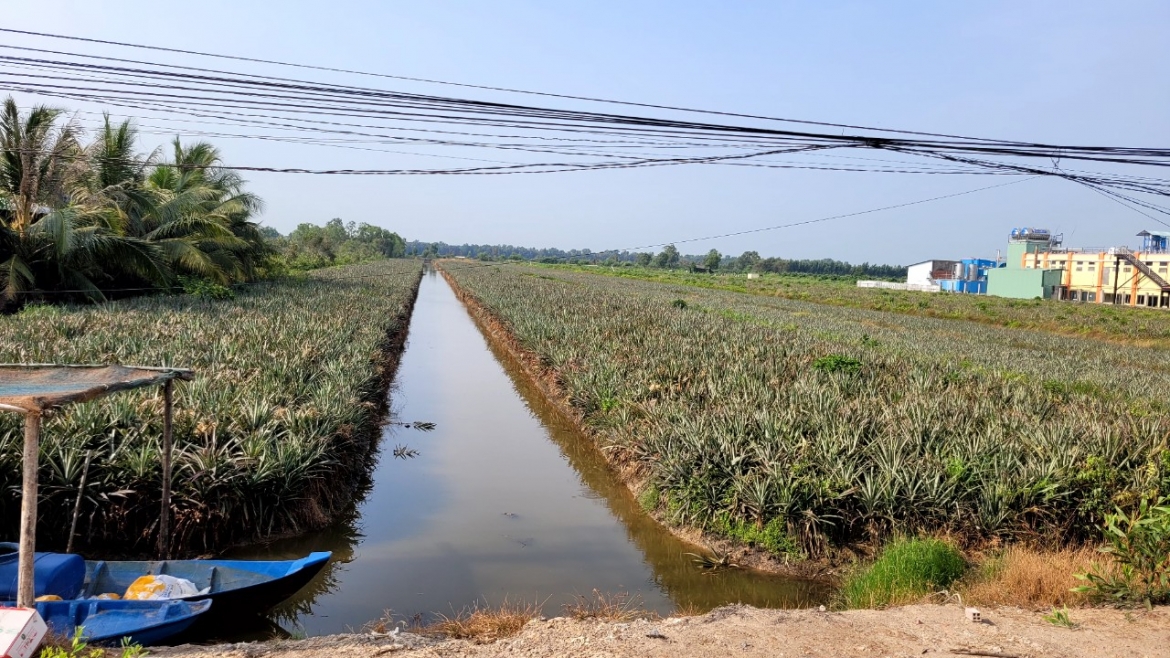 Danh bat thuy san bang xung dien tai ruong khom, huy hoai nguon loi hinh anh 4