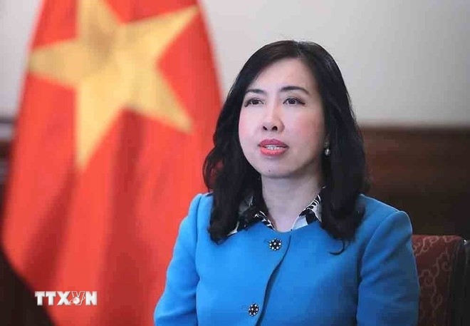 deputy fm confident in future of vietnam-eu relations picture 2