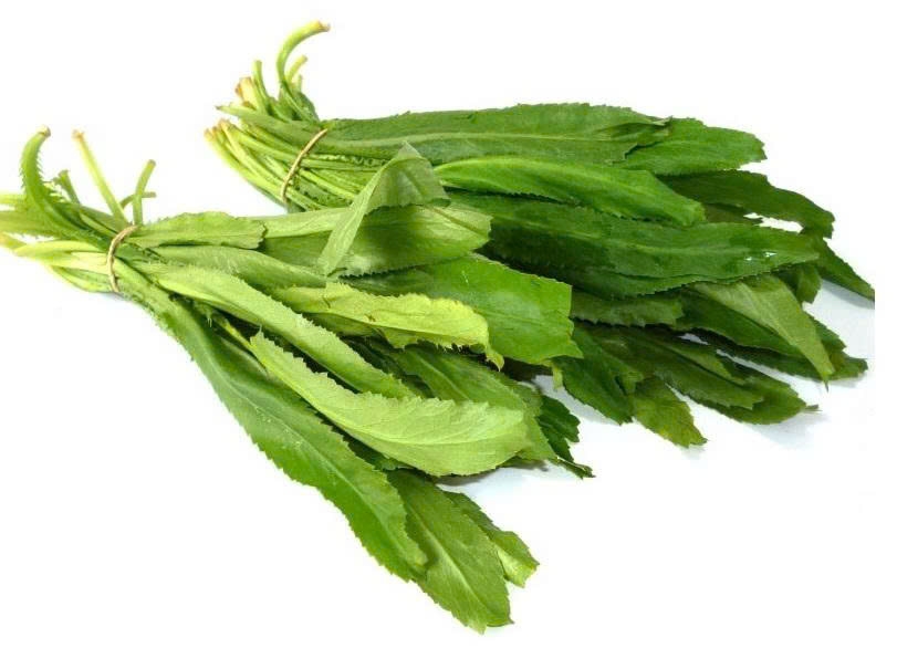 Lợi ích của rau mùi tàu và những lưu ý khi sử dụng