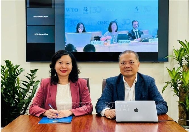 vietnam underscores determination to build a transparent global trading system picture 1