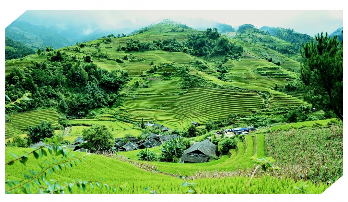 nganh nong nghiep va moi truong 80 nam ben bi buoc vao ky nguyen vuon minh hinh anh 2