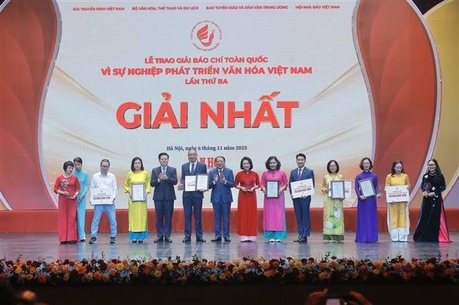 95 works honoured at press awards for cause of developing vietnamese culture picture 1