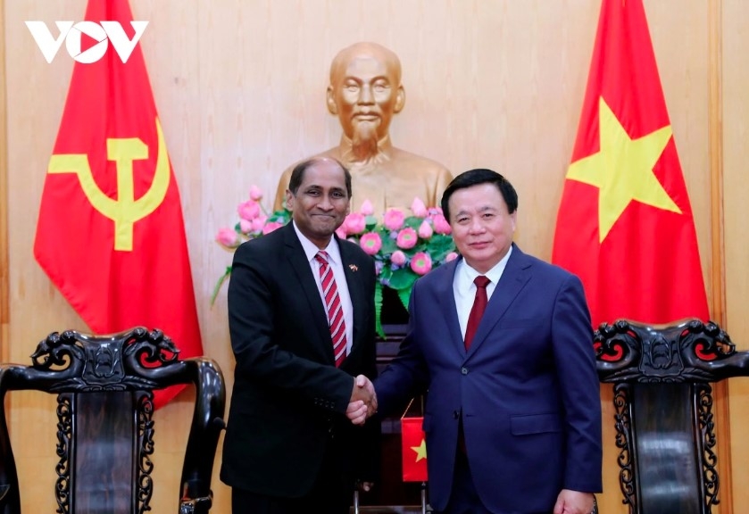vietnam looks to stronger cooperation with singapore and ireland picture 1