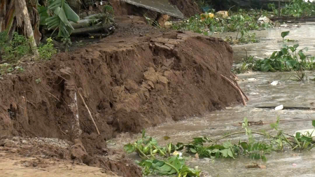 An Giang: Lại sạt lở bờ sông làm ảnh hưởng đến 12 hộ dân