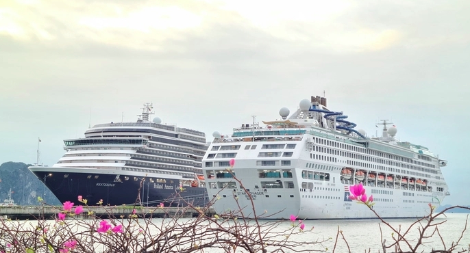 two luxury cruise ships bring over 3,100 international visitors to quang ninh picture 1