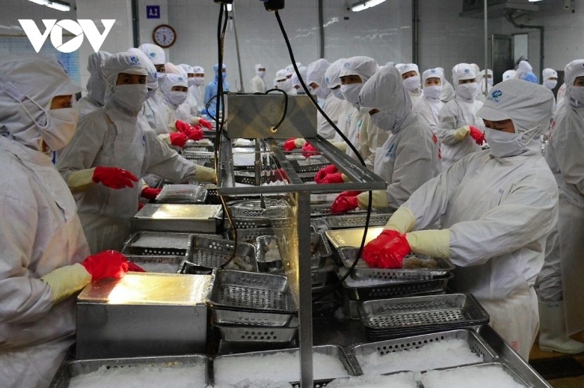 vietnamese lobster exports to china nearly triple picture 1