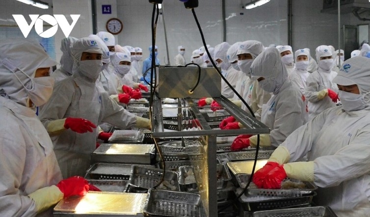 Vietnamese lobster exports to China nearly triple