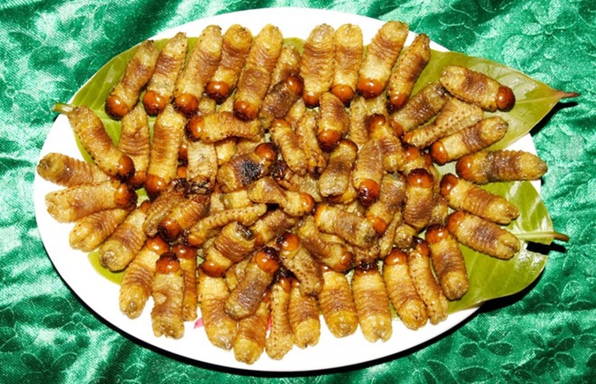 Loài ấu trùng béo múp xưa bị hắt hủi nay hóa "mỏ vàng"