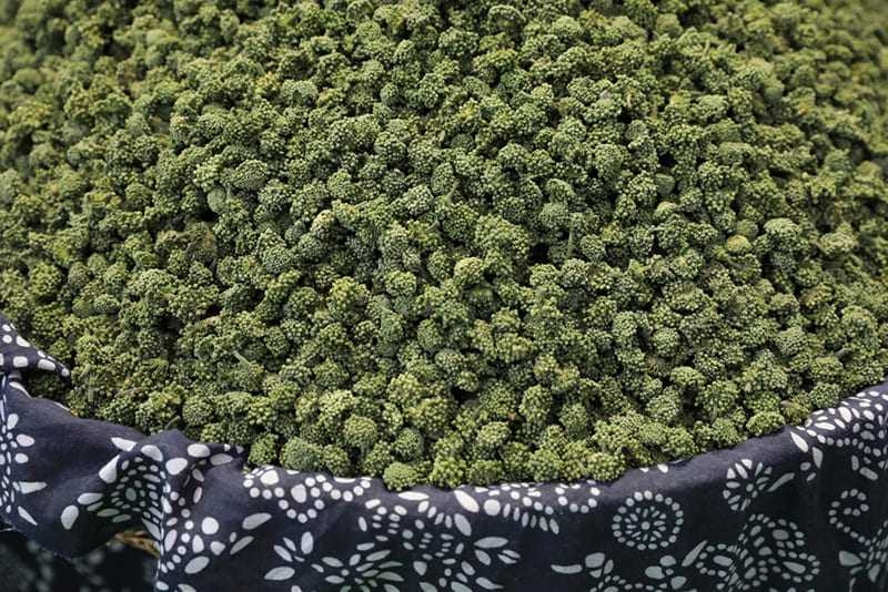 Những cây thuốc trị mất ngủ hiệu quả và lưu ý quan trọng không nên bỏ qua