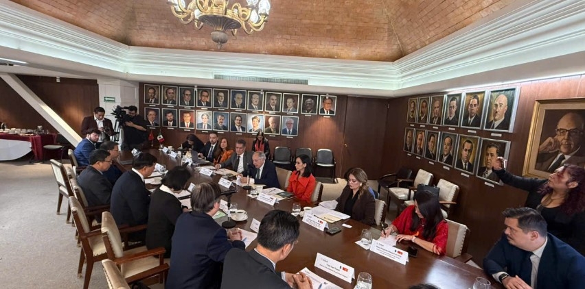 mexico, vietnam mark 50 years of ties with new momentum for health cooperation picture 2