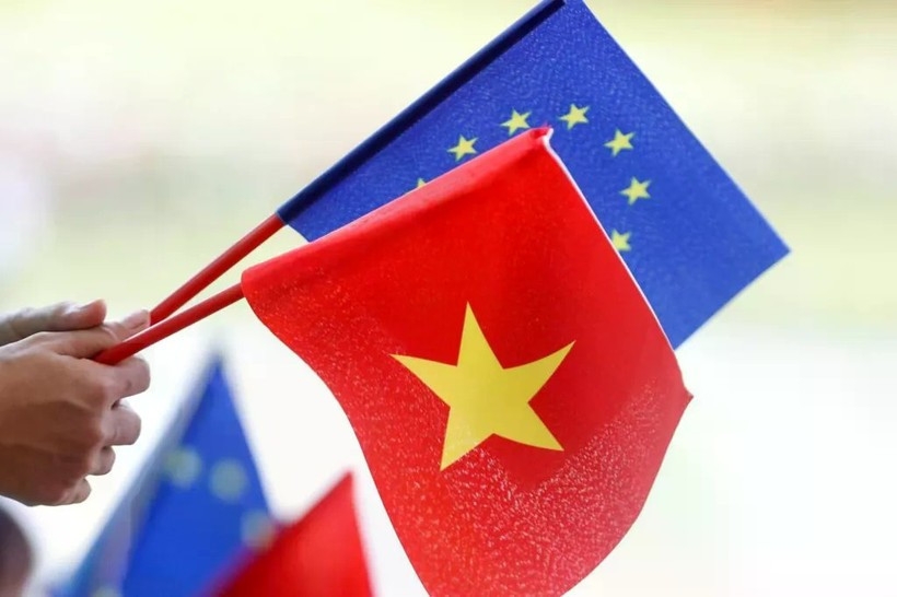 deputy fm confident in future of vietnam-eu relations picture 1