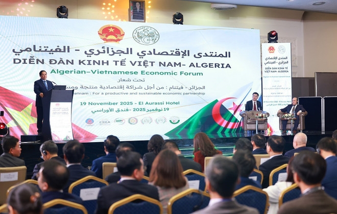 forum seeks productive, sustainable economic partnership between vietnam, algeria picture 2