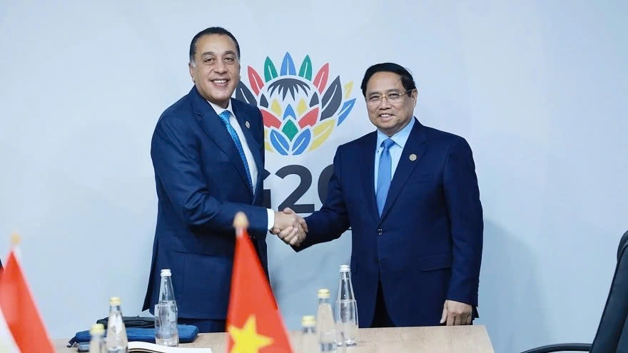 vietnamese pm meets with german, egyptian, norwegian counterparts in johannesburg picture 2