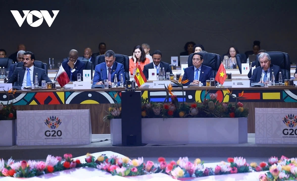 vietnam proposes sustainable growth strategies at g20 summit picture 2