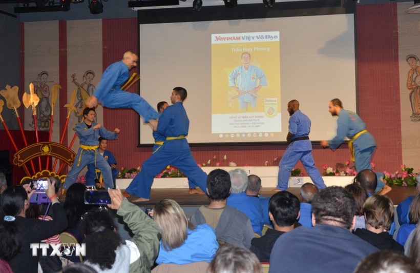 vovinam strengthens role as cultural ambassador in europe picture 1