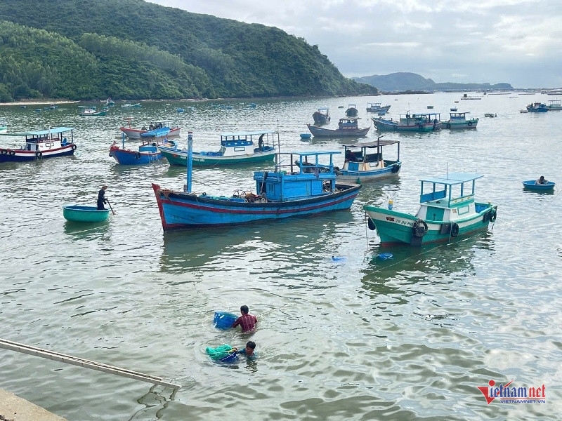 nguoi dan Dak lak hoi ha ban thao tom hum chay bao so 13 hinh anh 2