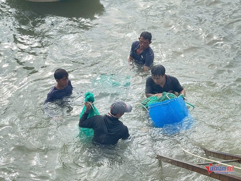 nguoi dan Dak lak hoi ha ban thao tom hum chay bao so 13 hinh anh 3