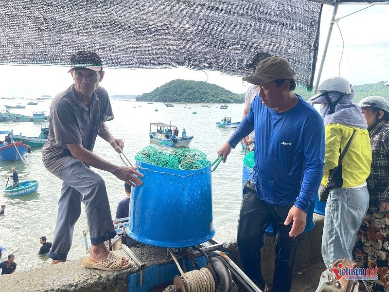 nguoi dan Dak lak hoi ha ban thao tom hum chay bao so 13 hinh anh 4