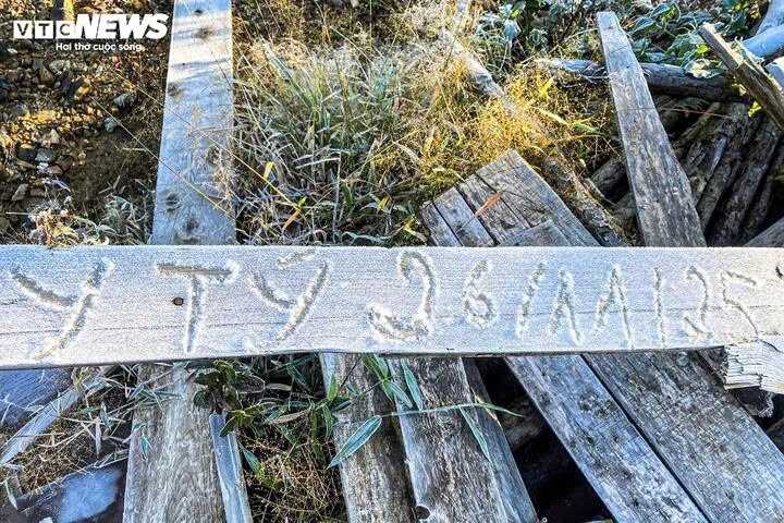 early frost blankets y ty, creating magical forest views picture 7