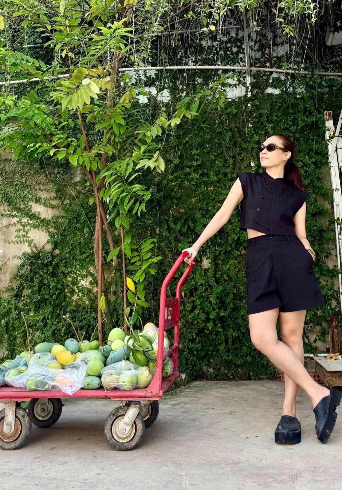 sao viet 5 11 vo chong ho ngoc ha - kim ly don sinh nhat con song sinh hinh anh 6