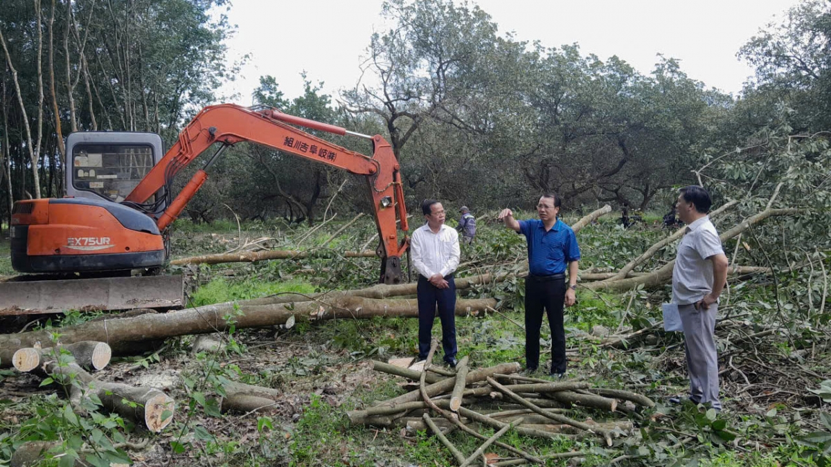 Cao tốc Gia Nghĩa – Chơn Thành: Cuộc đua “thần tốc” vì huyết mạch quốc gia
