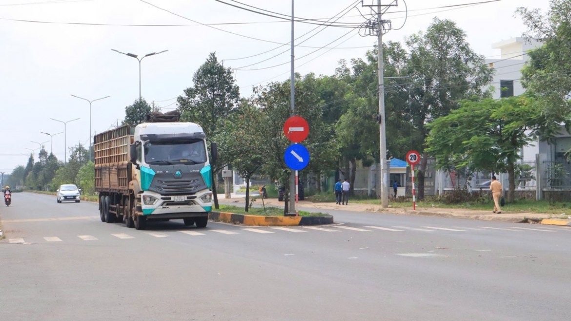 tai xe than vi phai chay rua bo 20 km gio tai kcn Dong xoai 3 o Dong nai hinh anh 3