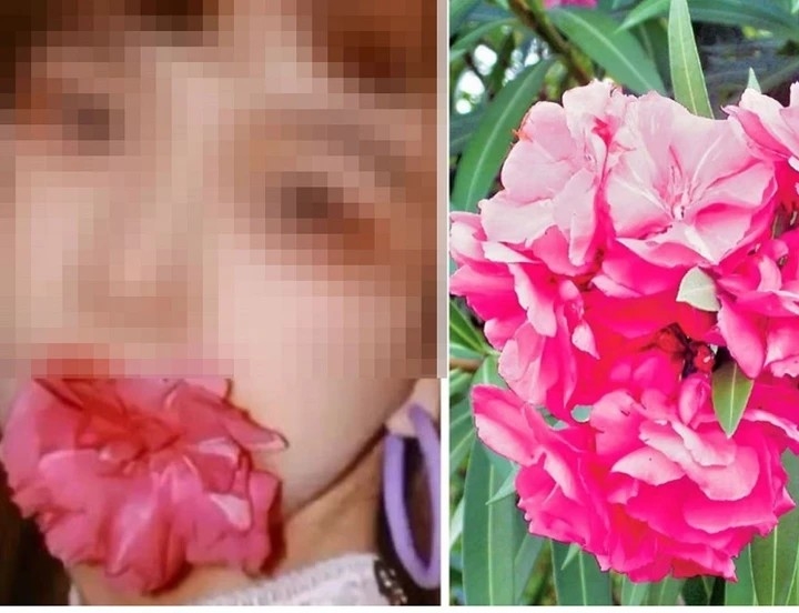 bon loai hoa xui xeo nhung nhieu nguoi van bo tien mua hinh anh 1