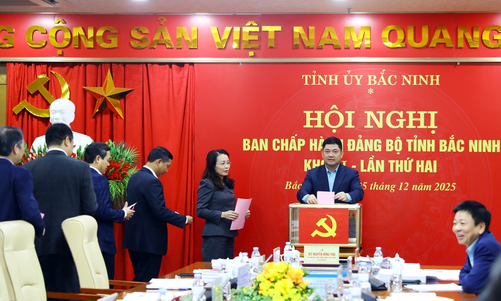 chu nhiem Uy ban kiem tra tinh uy tran huy phuong lam pho bi thu bac ninh hinh anh 1