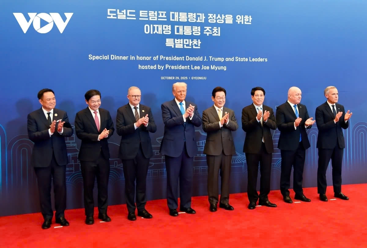 vietnam 2025 proactive diplomacy for a stronger global role picture 12