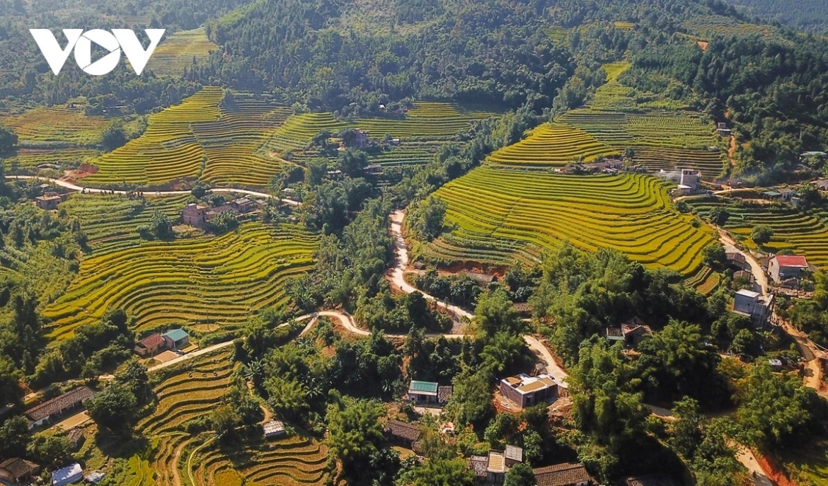suc bat tu phong trao thi dua yeu nuoc khi y chi thanh dong luc phat trien hinh anh 1