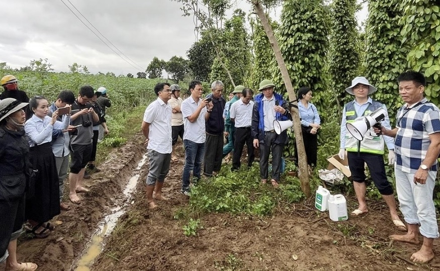 Đắk Lắk triển khai khôi phục sản xuất nông nghiệp sau bão lũ