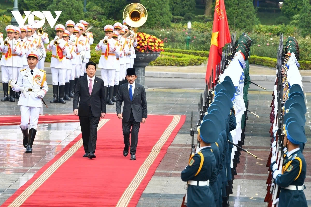 brunei sultan hassanal bolkiah warmly welcomed in hanoi on state visit to vietnam picture 3