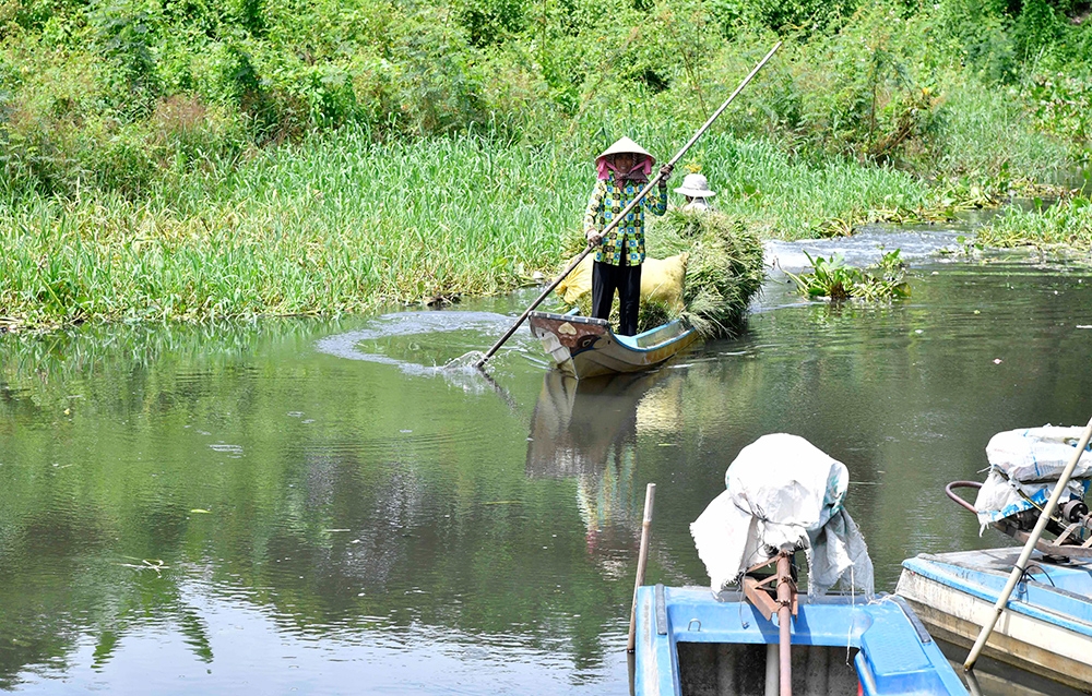 Phiên chợ độc đáo ở An Giang, người mua hiếm khi mặc cả