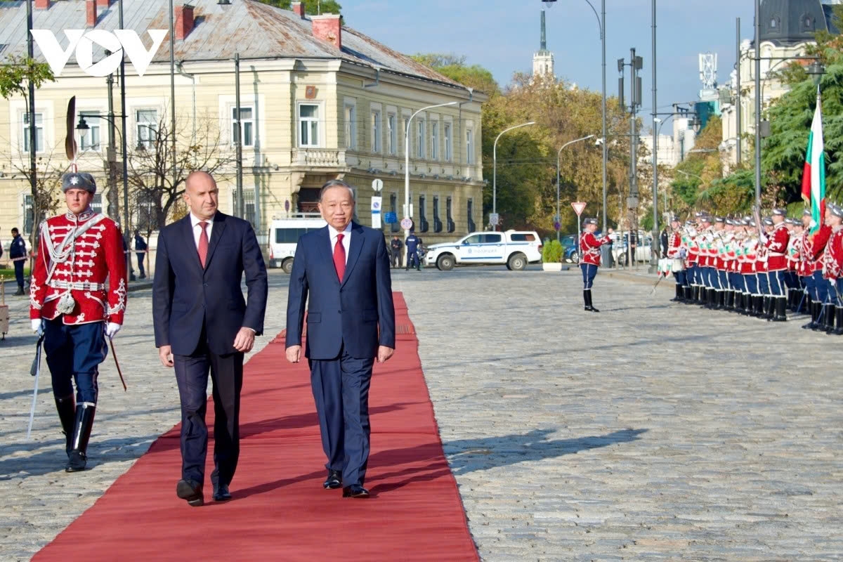 vietnam 2025 proactive diplomacy for a stronger global role picture 5