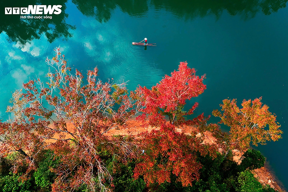 artificial lake in vietnam mirrors a european autumn as sweetgum leaves turn picture 7