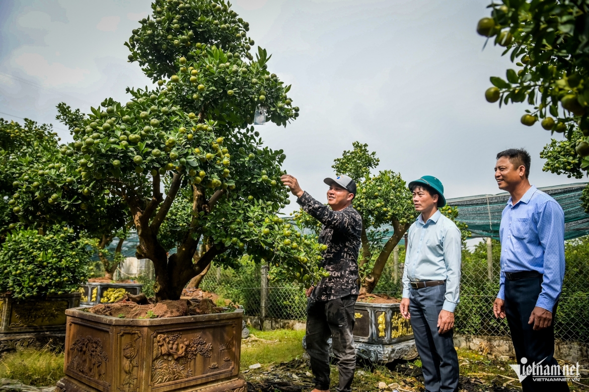 thu phu quat tet o ninh binh chay hang tu thang 9, nha vuon thang lon hinh anh 7