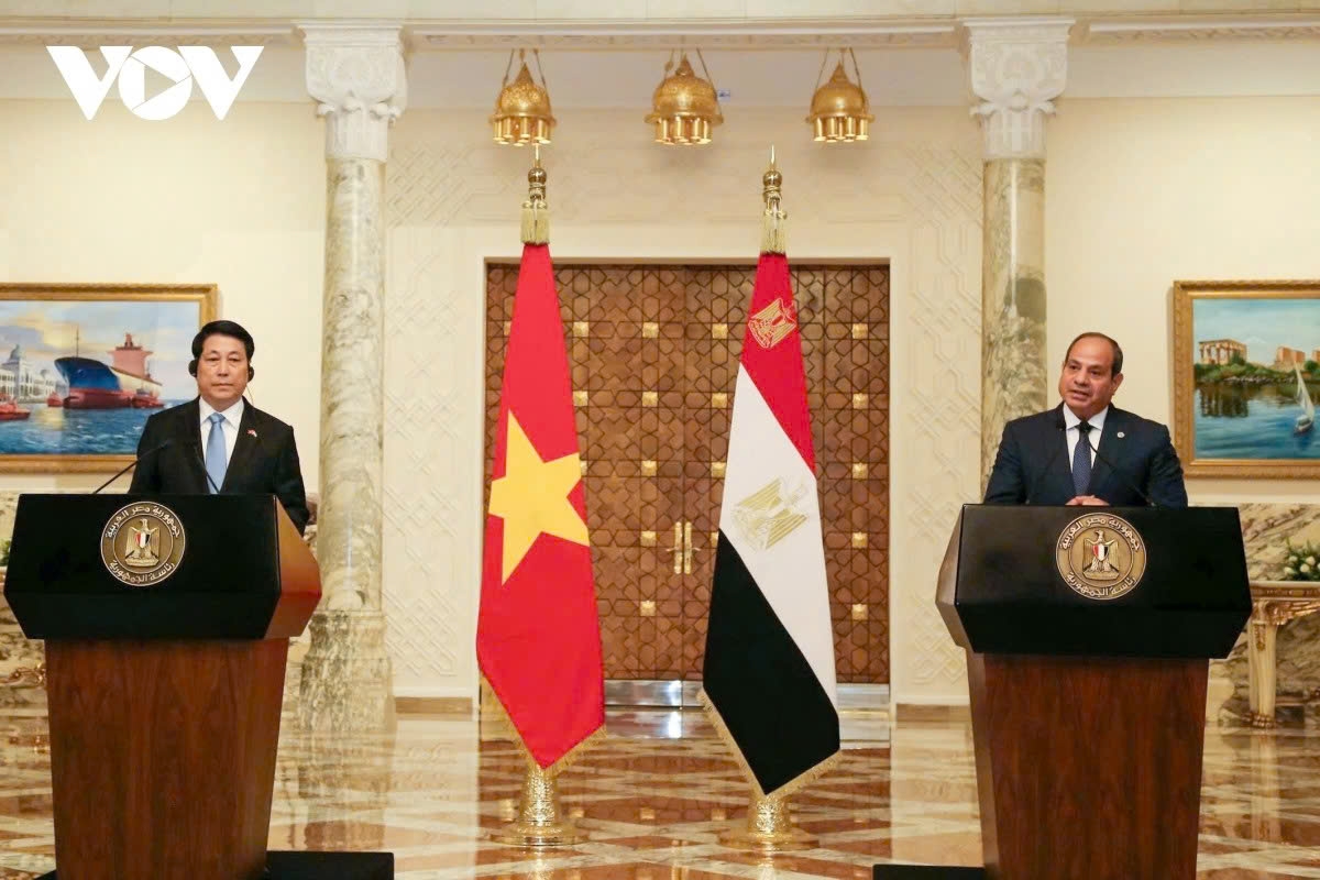 vietnam 2025 proactive diplomacy for a stronger global role picture 9