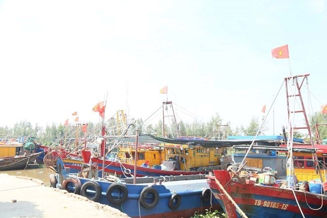 chong khai thac iuu, hung yen quyet liet truoc gio g hinh anh 1