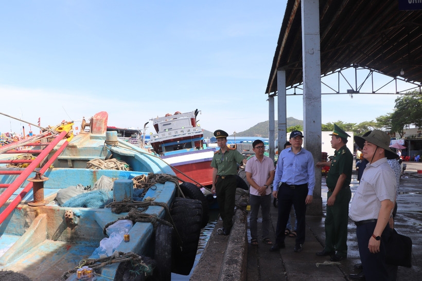 ho chi minh city steps up oversight of unqualified fishing vessels picture 1