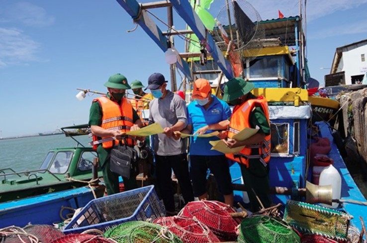 hcm city vows to combat iuu fishing, promote sustainable fisheries picture 1