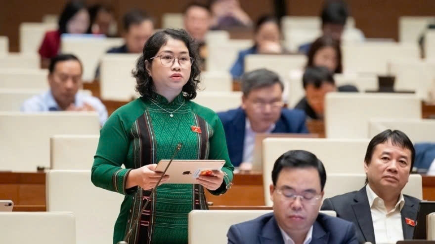 lawmakers call for stronger local autonomy in rural and ethnic development projects picture 1