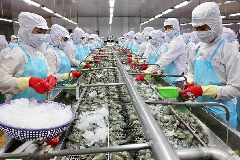 steep us tariff rise puts vietnam s shrimp exports at risk in 2026 picture 1