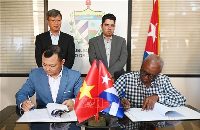 vietnamese company invests in cashew cultivation in cuba picture 1