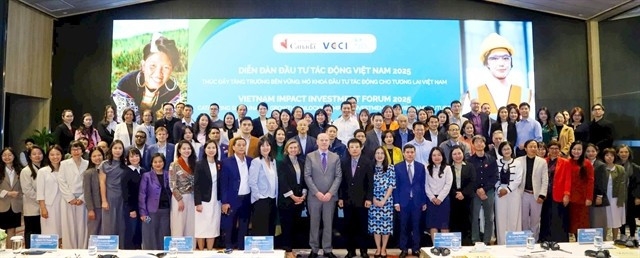 vietnam records strong growth in impact investment forum picture 1