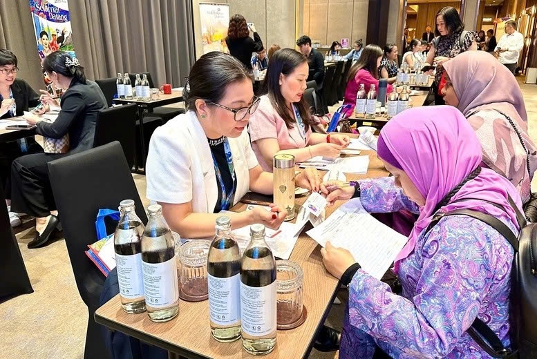 malaysian famtrip delegation to survey khanh hoa tourism picture 1