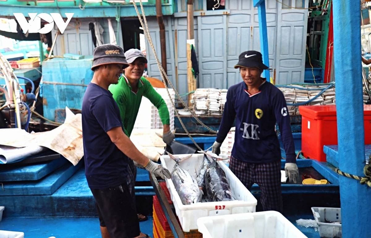 vietnam struggles to lift yellow card as iuu fishing crackdown reshapes coastal economy picture 1